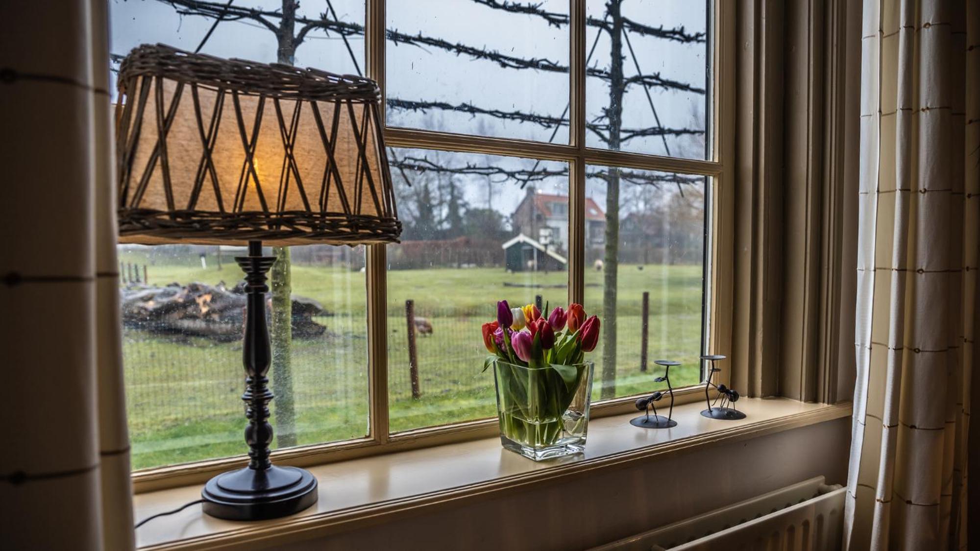 Vakantiewoning - Kon. Emmaweg 26 | Vrouwenpolder 'Uitspanning Oranjezon' Екстер'єр фото